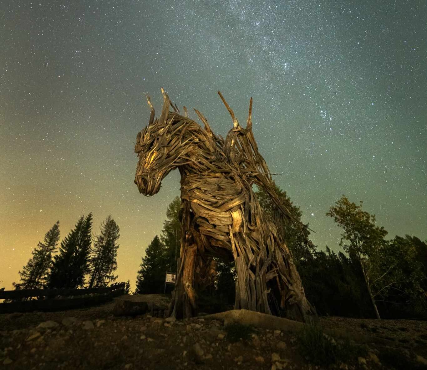 Grazie Al Fotografo Luca Scortegagna Il Drago Alato Di Vaia Come Non