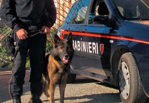 carabinieri-cinofili-ricerche-1