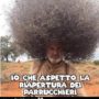 meme capelli6