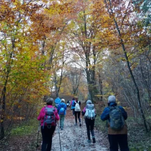 Escursione Tonezza in Foliage con Michele Savio AltoVicentinOnline